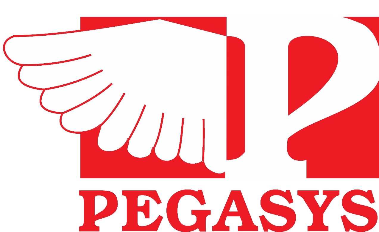 Pegasys Machines Logo